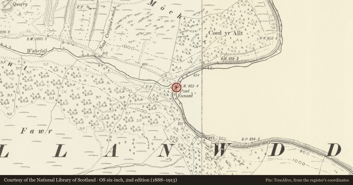 Ordnance Survey six-inch map, 2nd edition (1888–1913) covering the location of Pont Eunant, Llanwddyn, Powys, with a pin at the register's coordinates