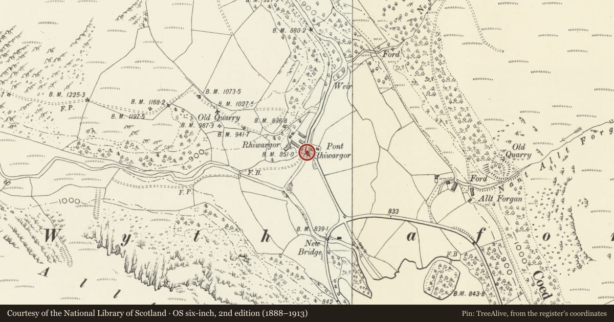 Ordnance Survey six-inch map, 2nd edition (1888–1913) covering the location of Pont Rhiwargor, Llanwddyn, Powys, with a pin at the register's coordinates