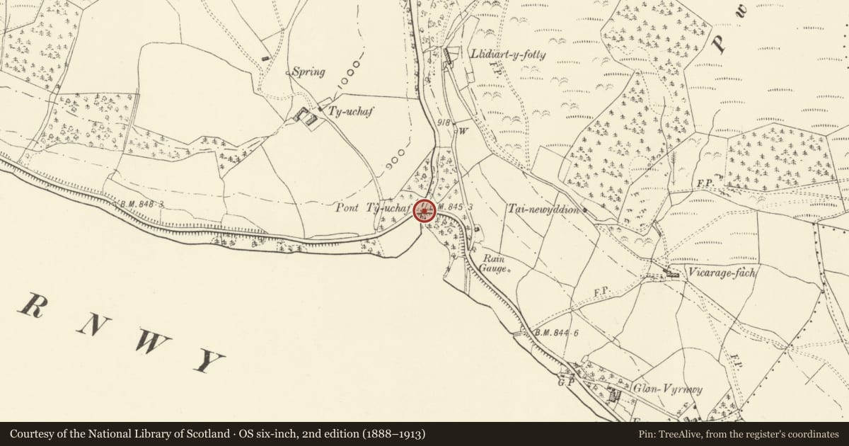 Ordnance Survey six-inch map, 2nd edition (1888–1913) covering the location of Pont Ty-uchaf, Llanwddyn, Powys, with a pin at the register's coordinates