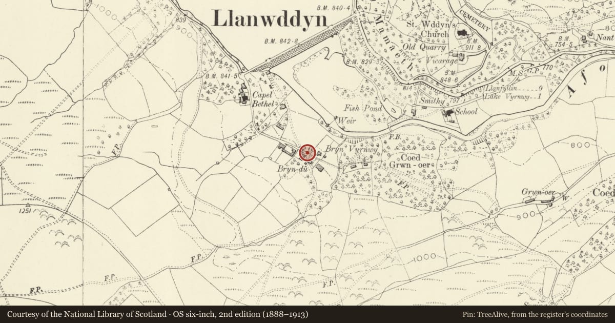 Ordnance Survey six-inch map, 2nd edition (1888–1913) covering the location of Telephone Call-box near Bryn Vyrnwy, Llanwddyn, Powys, with a pin at the register's coordinates