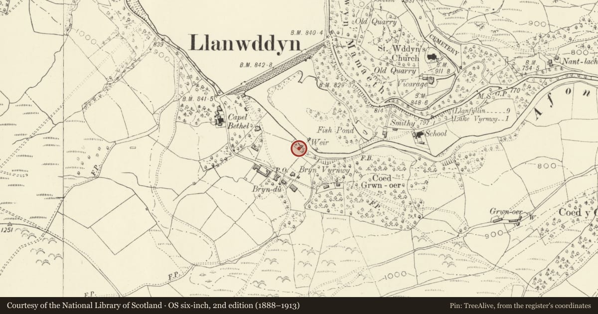 Ordnance Survey six-inch map, 2nd edition (1888–1913) covering the location of Water Gauge House on Weir below Lake Vyrnwy Dam, Llanwddyn, Powys, with a pin at the register's coordinates