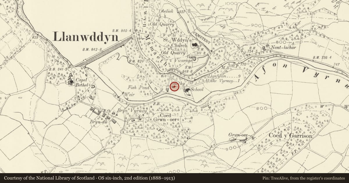 Ordnance Survey six-inch map, 2nd edition (1888–1913) covering the location of Workshops attached to nos. 3-6, Glanrafon, Llanwddyn, Powys, with a pin at the register's coordinates