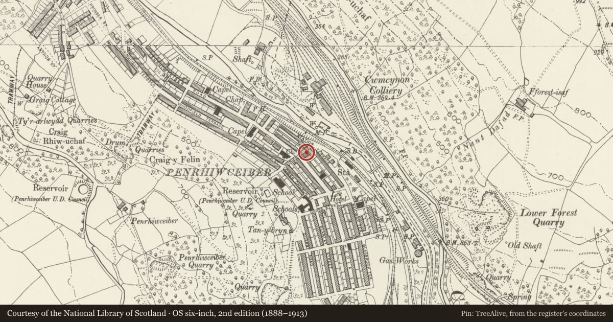 Ordnance Survey six-inch map, 2nd edition (1888–1913) covering the location of Penrhiwceiber Institute and Community Hall, Rhondda Cynon Taff, with a pin at the register's coordinates
