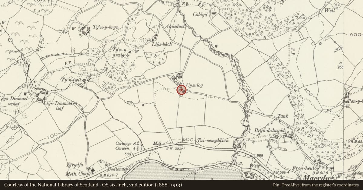 Ordnance Survey six-inch map, 2nd edition (1888–1913) covering the location of Old House and attached Cartshed block at Cysulog, Llangwm, Conwy, with a pin at the register's coordinates