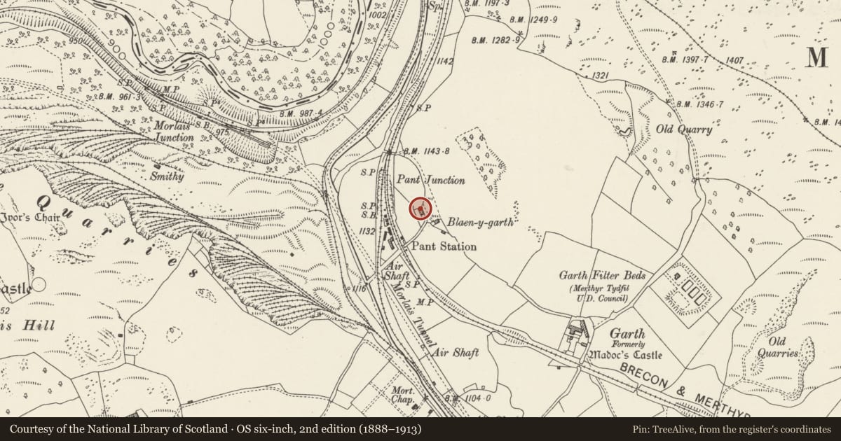 Ordnance Survey six-inch map, 2nd edition (1888–1913) covering the location of Blaenygarth, Pant, Merthyr Tydfil, with a pin at the register's coordinates