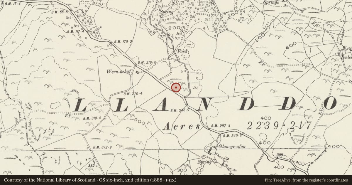 Ordnance Survey six-inch map, 2nd edition (1888–1913) covering the location of Wern y Wylan Court, Llanddona, Isle of Anglesey, with a pin at the register's coordinates