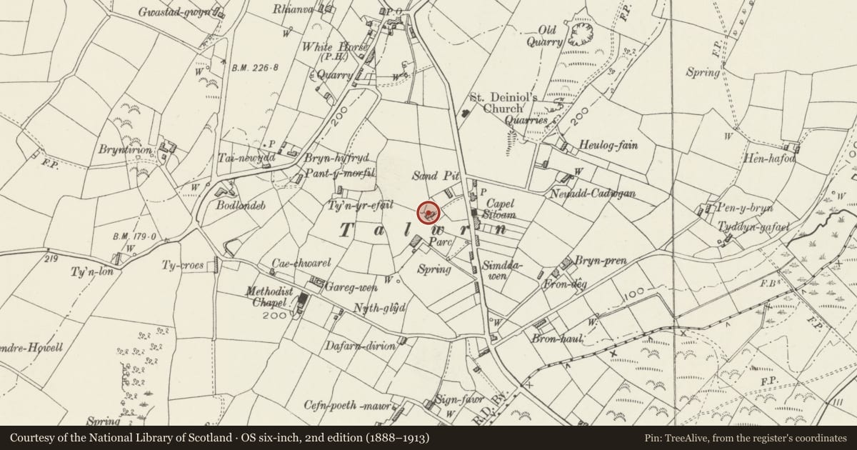 Ordnance Survey six-inch map, 2nd edition (1888–1913) covering the location of Bryn Brochan, Llanddyfnan, Isle of Anglesey, with a pin at the register's coordinates