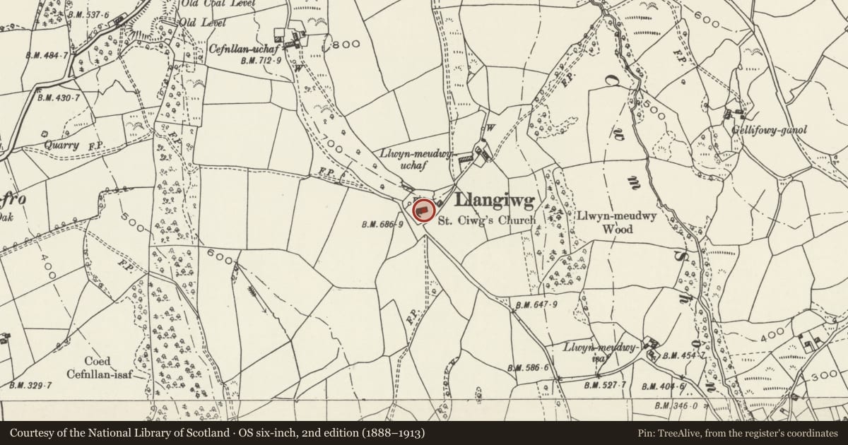 Ordnance Survey six-inch map, 2nd edition (1888–1913) covering the location of Church of Saint Ciwg, Pontardawe, Neath Port Talbot, with a pin at the register's coordinates