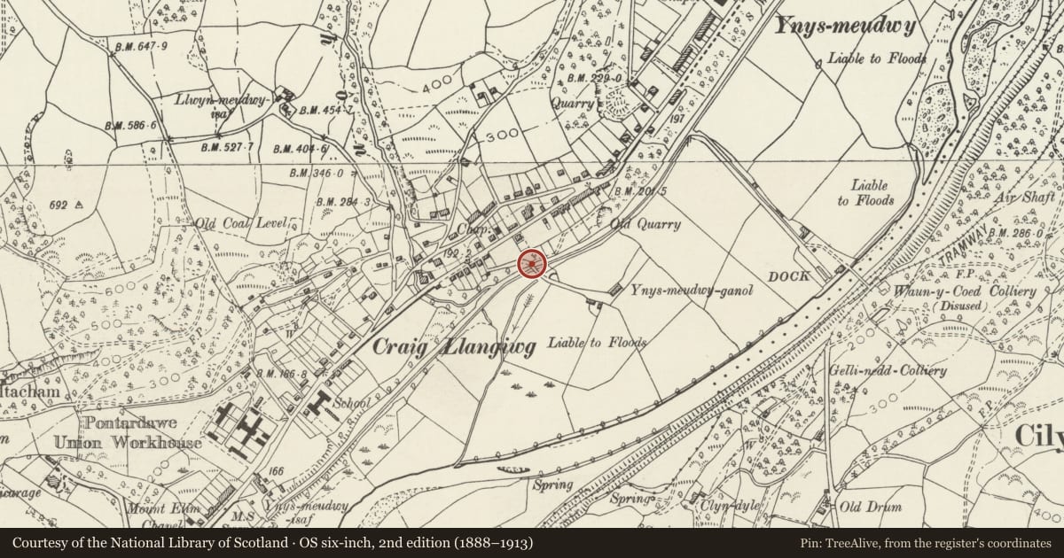 Ordnance Survey six-inch map, 2nd edition (1888–1913) covering the location of Ynysmeudwy Ganol Overbridge on Swansea Canal, Pontardawe, Neath Port Talbot, with a pin at the register's coordinates