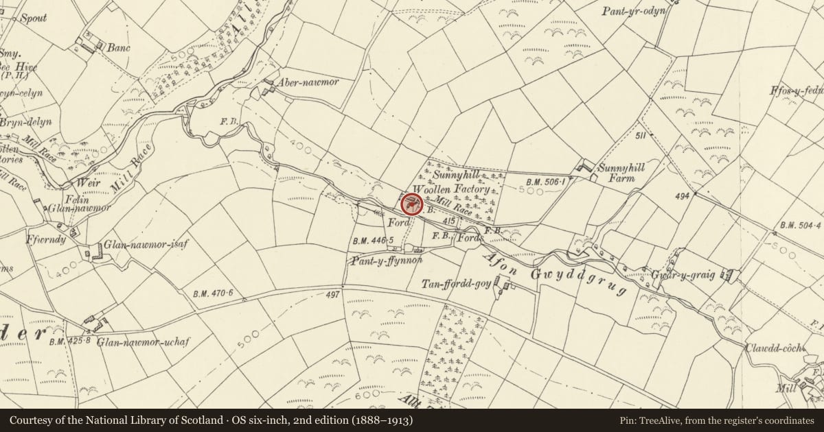 Ordnance Survey six-inch map, 2nd edition (1888–1913) covering the location of Avondale, Llanfihangel-ar-Arth, Carmarthenshire, with a pin at the register's coordinates