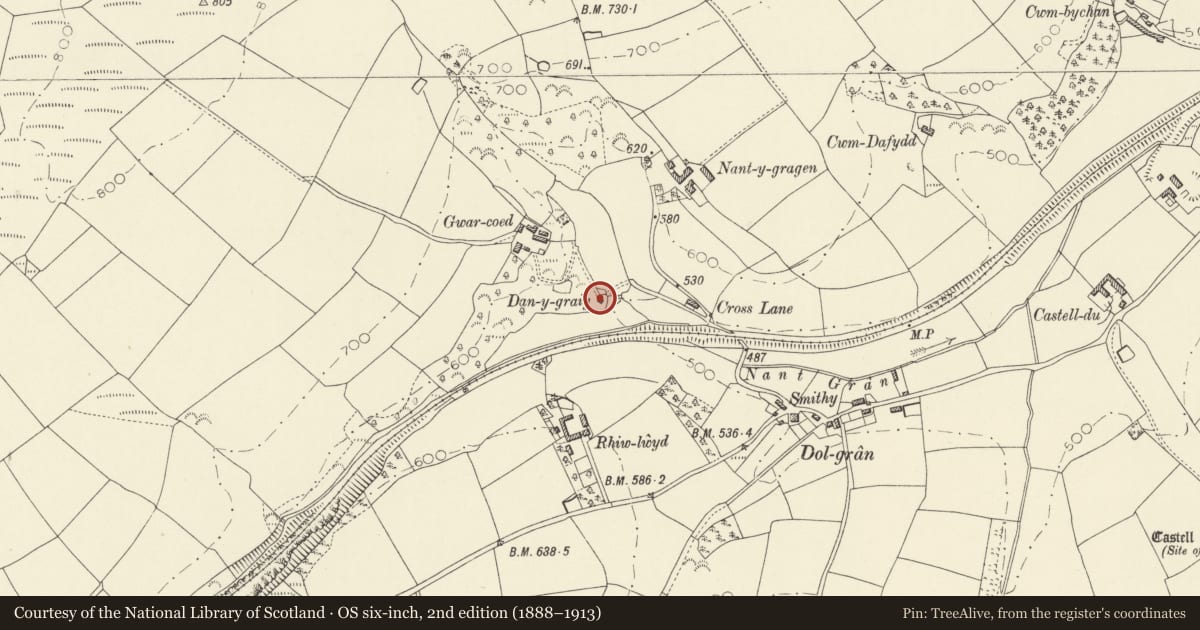Ordnance Survey six-inch map, 2nd edition (1888–1913) covering the location of Danygraig, Llanfihangel-ar-Arth, Carmarthenshire, with a pin at the register's coordinates