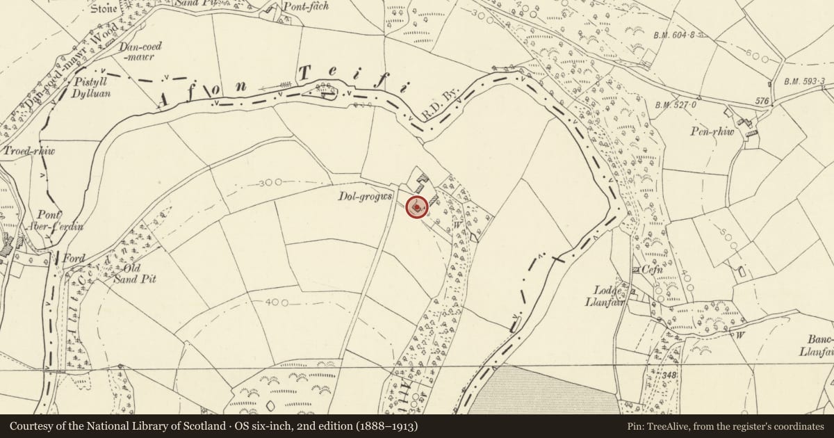 Ordnance Survey six-inch map, 2nd edition (1888–1913) covering the location of Dol-grogws, Llanfihangel-ar-Arth, Carmarthenshire, with a pin at the register's coordinates