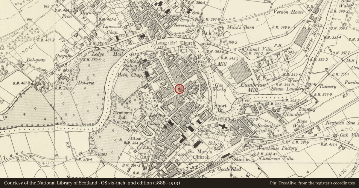 Ordnance Survey six-inch map, 2nd edition (1888–1913) covering the location of Davey Welsh Crafts, Newtown and Llanllwchaiarn, Powys, with a pin at the register's coordinates