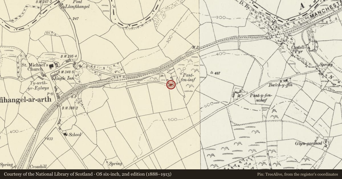 Ordnance Survey six-inch map, 2nd edition (1888–1913) covering the location of Pantyfen Isaf, Llanfihangel-ar-Arth, Carmarthenshire, with a pin at the register's coordinates