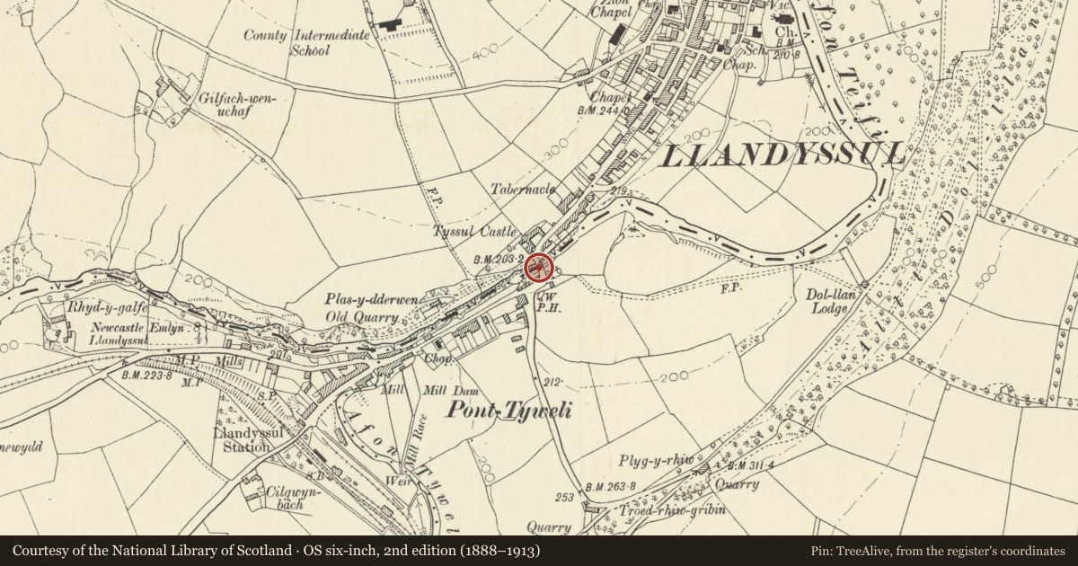 Ordnance Survey six-inch map, 2nd edition (1888–1913) covering the location of Pont Llandysul (Partly in Llandysul Community), Llanfihangel-ar-Arth, Carmarthenshire, with a pin at the register's coordinates