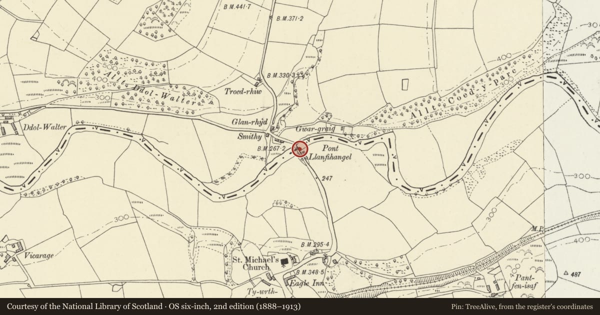 Ordnance Survey six-inch map, 2nd edition (1888–1913) covering the location of Pont Llanfihangel (Partly in Llandysul Community), Llanfihangel-ar-Arth, Carmarthenshire, with a pin at the register's coordinates