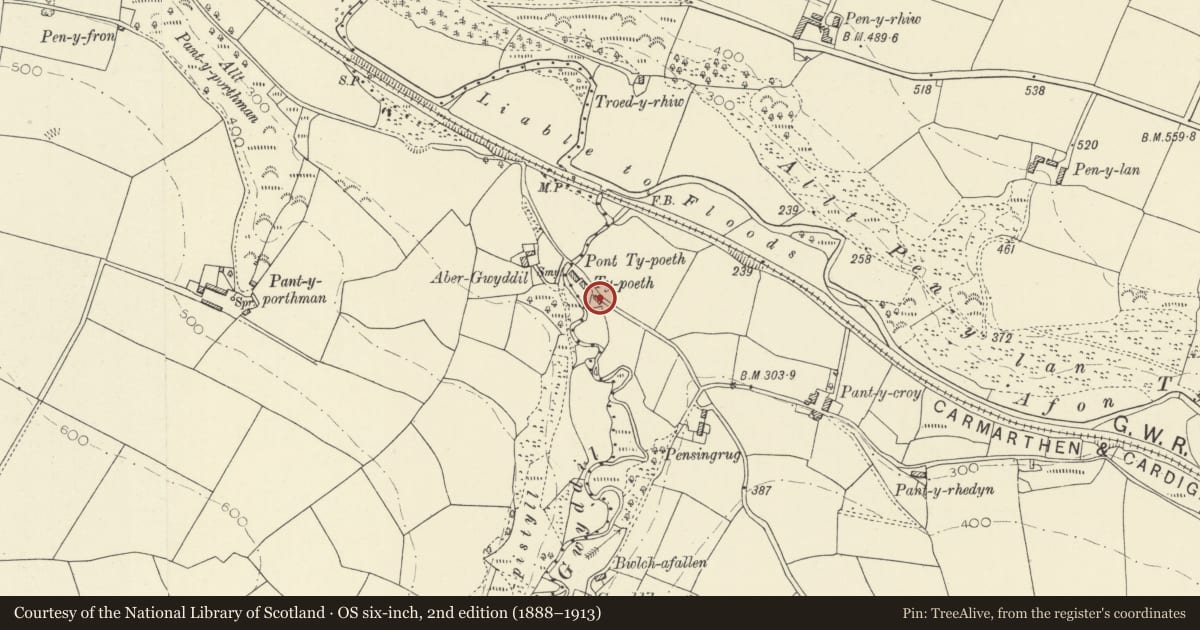Ordnance Survey six-inch map, 2nd edition (1888–1913) covering the location of Ty Poeth Cottage, Llanfihangel-ar-Arth, Carmarthenshire, with a pin at the register's coordinates