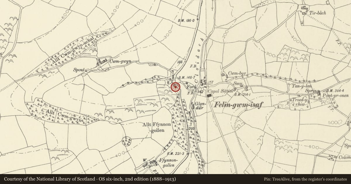 Ordnance Survey six-inch map, 2nd edition (1888–1913) covering the location of Brynamlwg, Llanegwad, Carmarthenshire, with a pin at the register's coordinates
