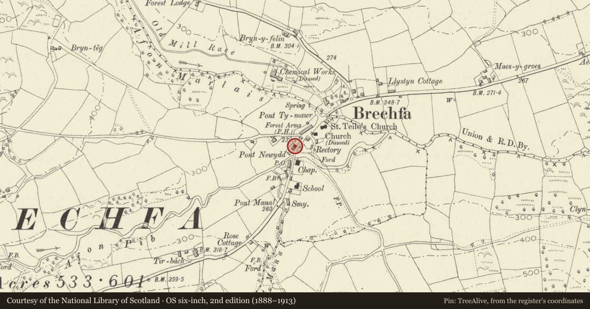 Ordnance Survey six-inch map, 2nd edition (1888–1913) covering the location of Castle Green, Llanegwad, Carmarthenshire, with a pin at the register's coordinates