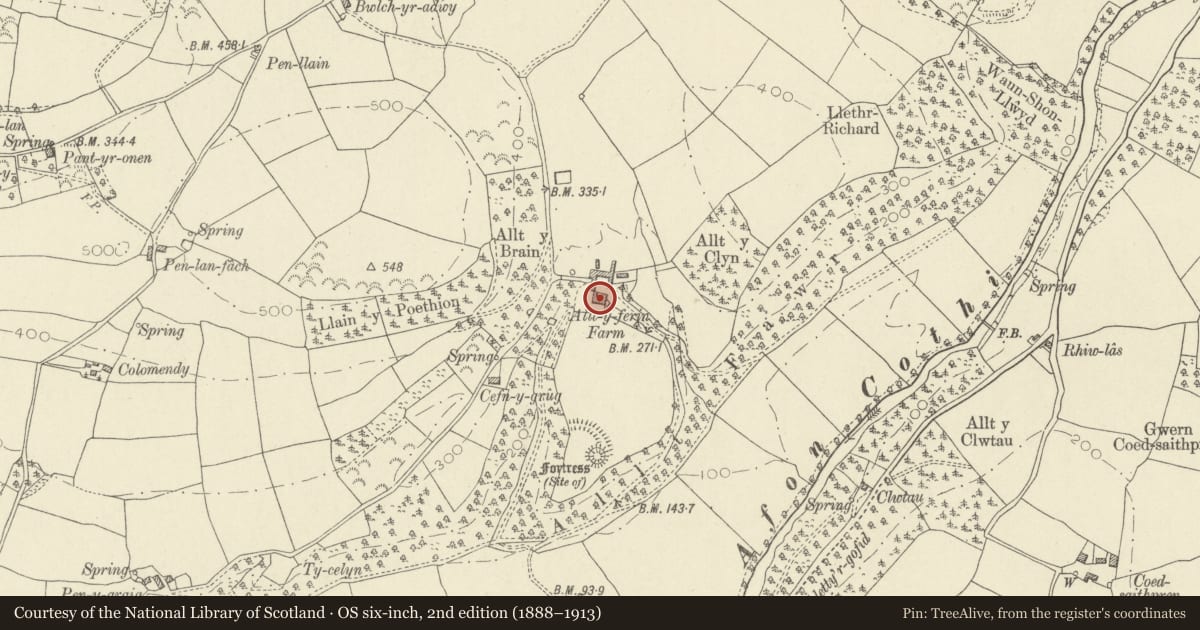 Ordnance Survey six-inch map, 2nd edition (1888–1913) covering the location of Plas Alltyferin, Llanegwad, Carmarthenshire, with a pin at the register's coordinates