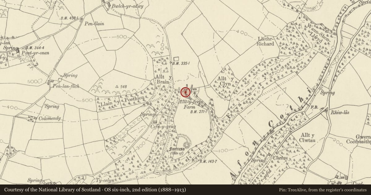 Ordnance Survey six-inch map, 2nd edition (1888–1913) covering the location of Stable, coach house & granary at Plas Alltyferin, Llanegwad, Carmarthenshire, with a pin at the register's coordinates