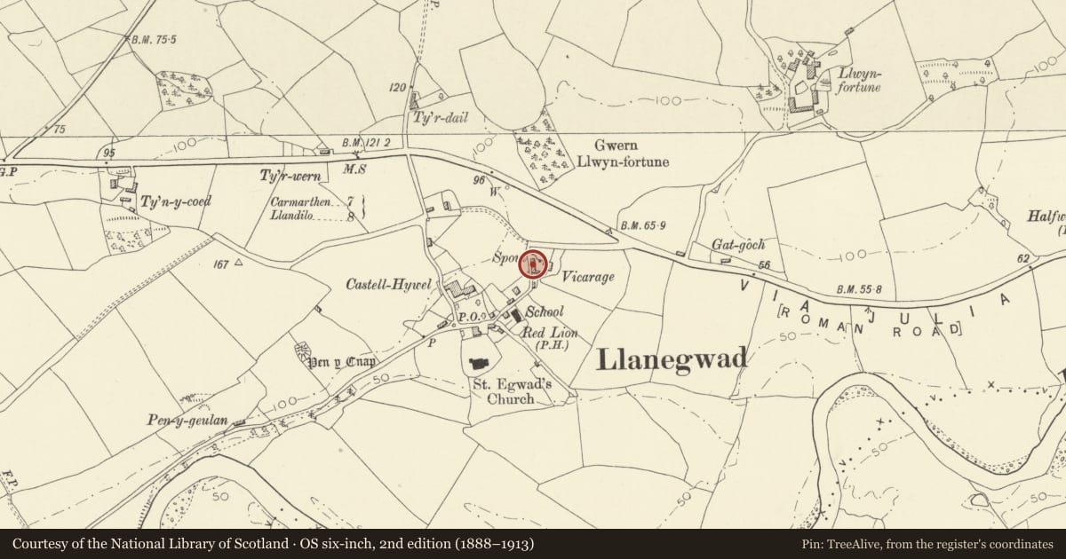 Ordnance Survey six-inch map, 2nd edition (1888–1913) covering the location of Stables and coach house at Tawelfan, Llanegwad, Carmarthenshire, with a pin at the register's coordinates