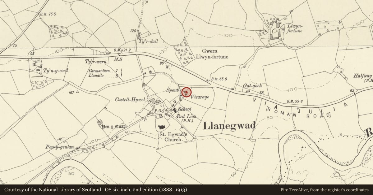 Ordnance Survey six-inch map, 2nd edition (1888–1913) covering the location of Tawelfan, Llanegwad, Carmarthenshire, with a pin at the register's coordinates
