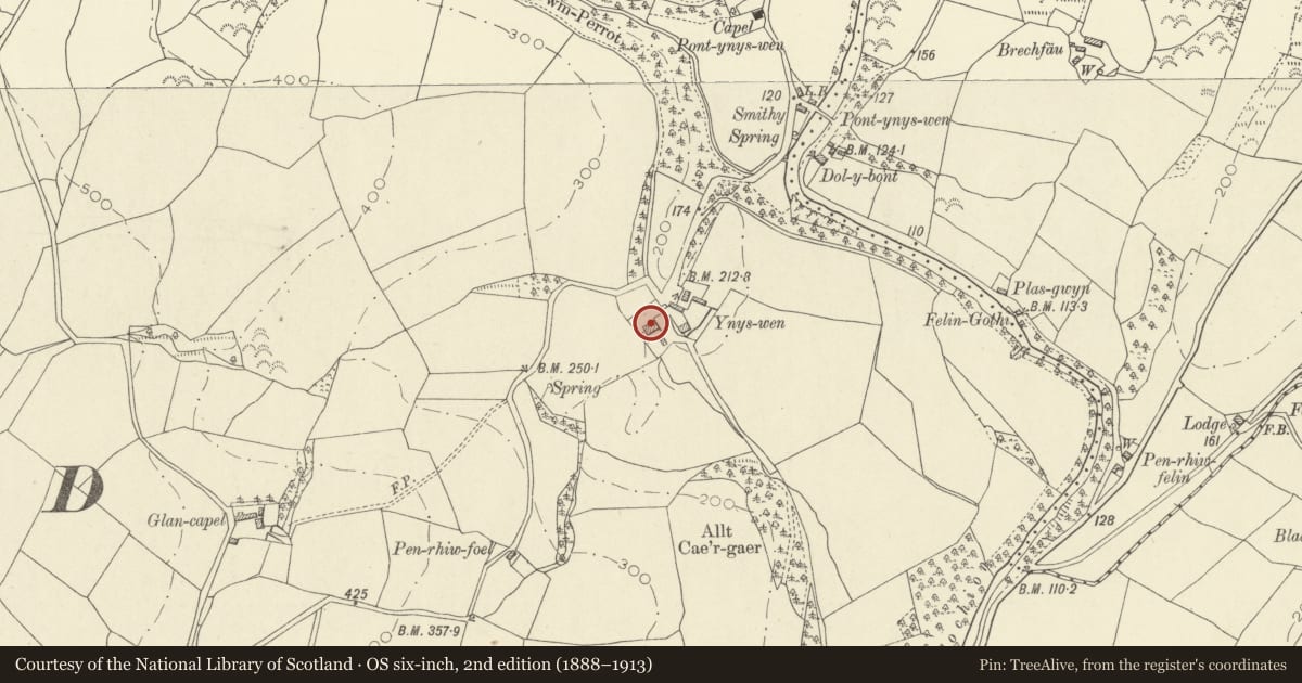 Ordnance Survey six-inch map, 2nd edition (1888–1913) covering the location of Ynyswen, Llanegwad, Carmarthenshire, with a pin at the register's coordinates