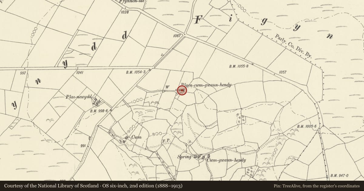 Ordnance Survey six-inch map, 2nd edition (1888–1913) covering the location of Blaen-cwm-gwaun-hendy, including attached agricultural range, Llanfynydd, Carmarthenshire, with a pin at the register's coordinates