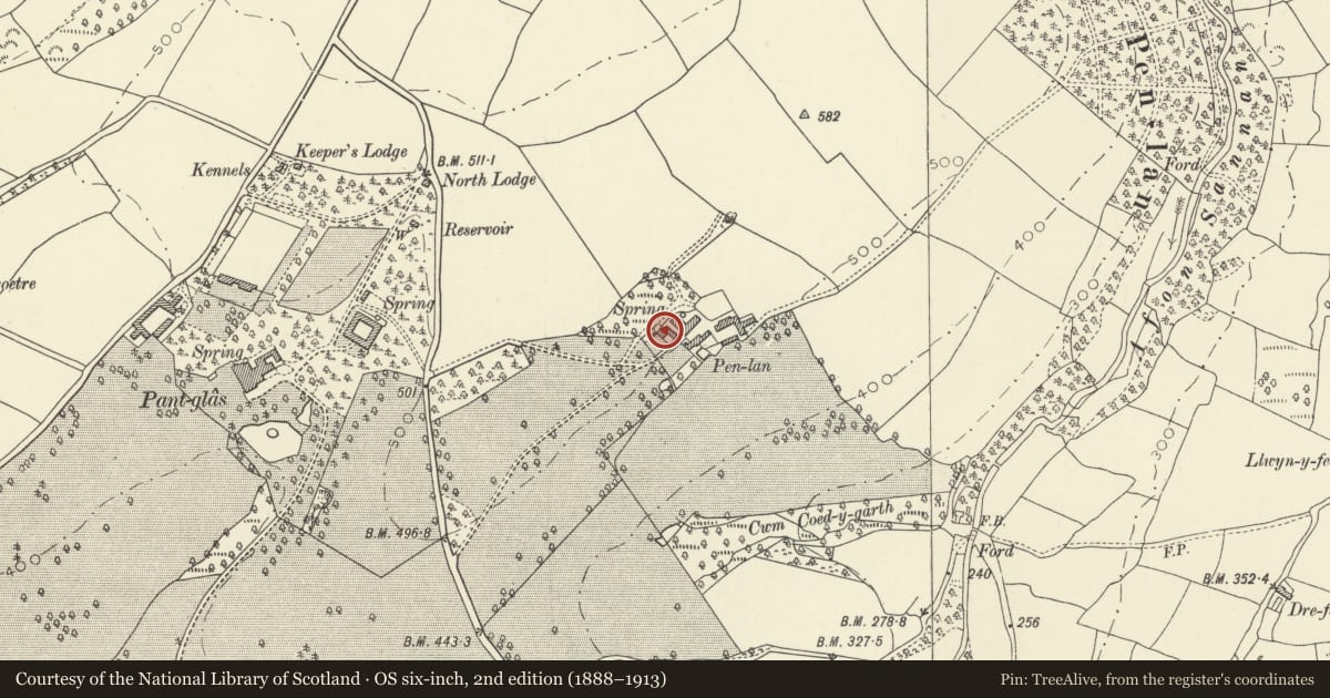 Ordnance Survey six-inch map, 2nd edition (1888–1913) covering the location of Penylan House, Llanfynydd, Carmarthenshire, with a pin at the register's coordinates