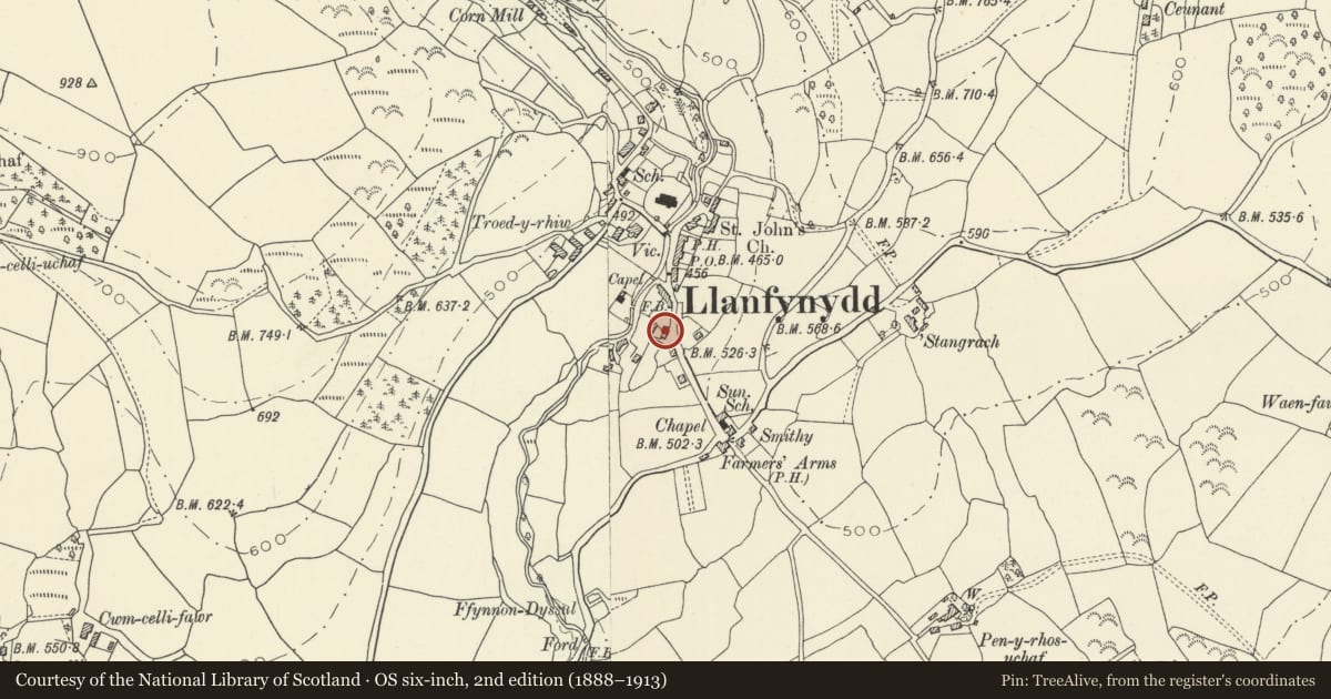 Ordnance Survey six-inch map, 2nd edition (1888–1913) covering the location of Portis, Llanfynydd, Carmarthenshire, with a pin at the register's coordinates