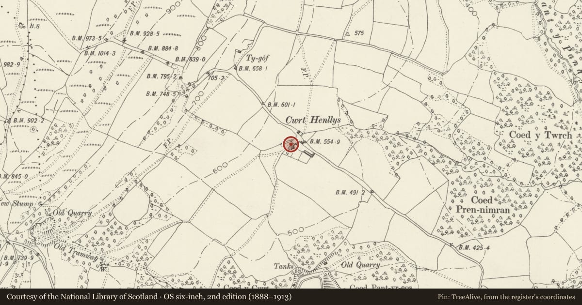 Ordnance Survey six-inch map, 2nd edition (1888–1913) covering the location of Cwrt Henllys, Torfaen, with a pin at the register's coordinates