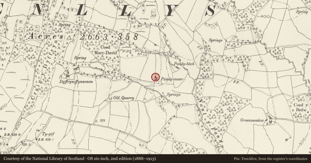 Ordnance Survey six-inch map, 2nd edition (1888–1913) covering the location of Pandy-mawr and attached barn, Henllys, Torfaen, with a pin at the register's coordinates