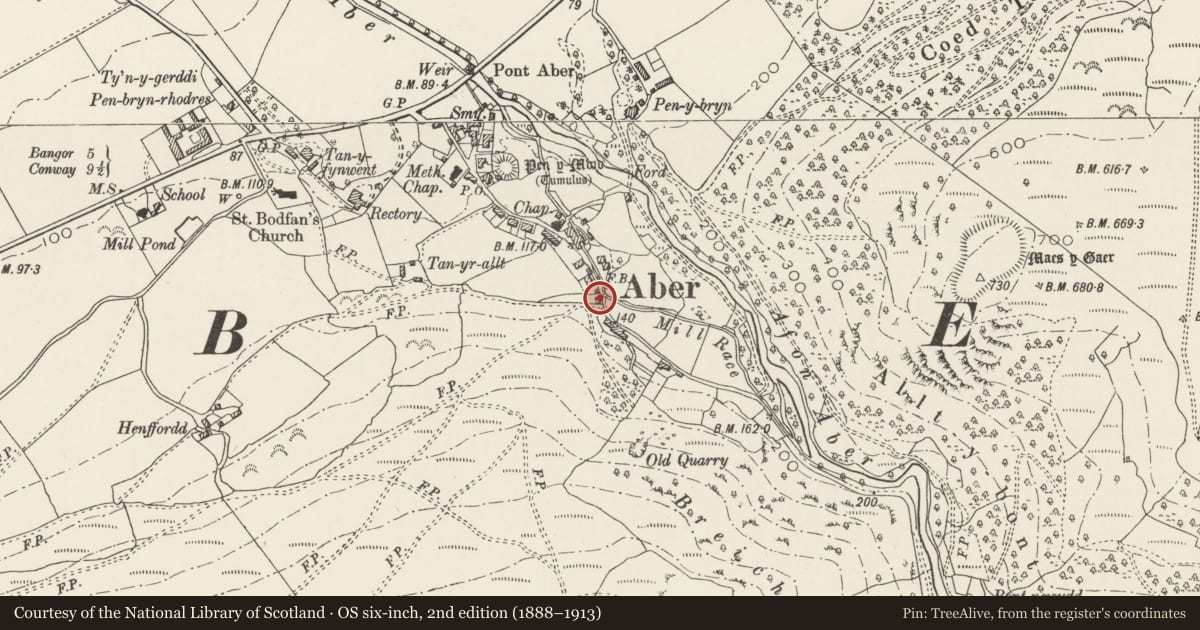Ordnance Survey six-inch map, 2nd edition (1888–1913) covering the location of Ty'n Ffridd, Aber, Gwynedd, with a pin at the register's coordinates