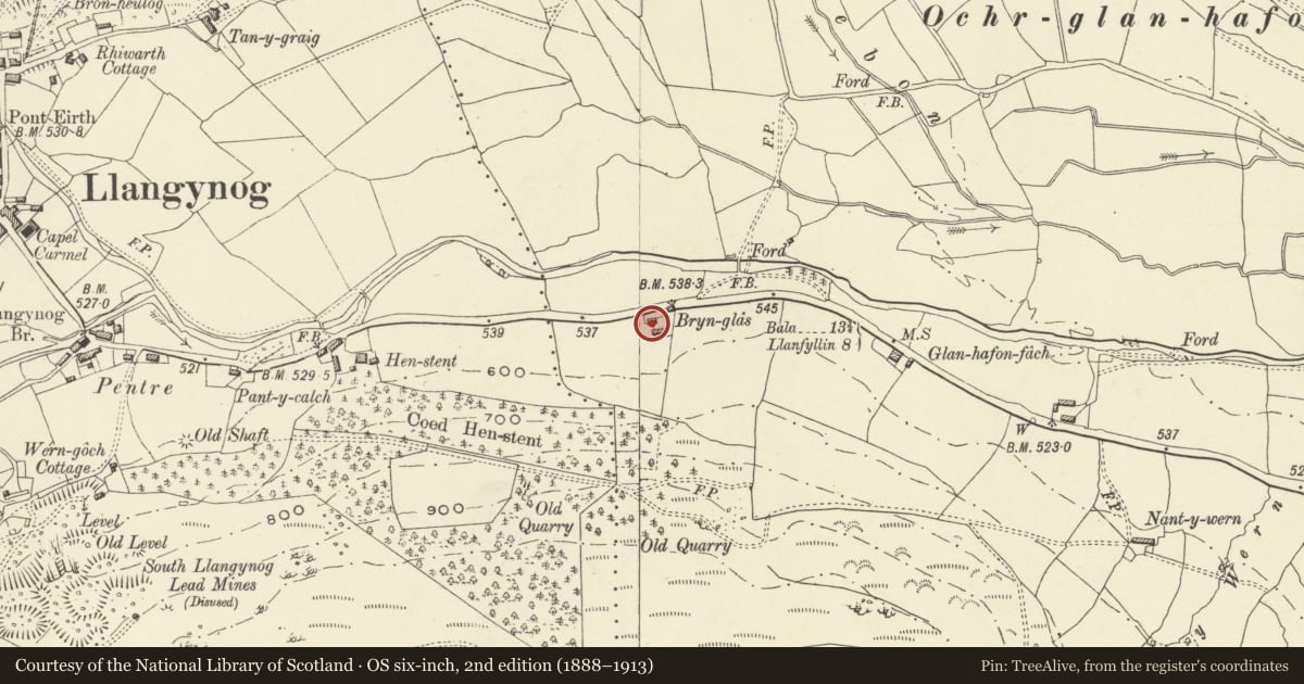 Ordnance Survey six-inch map, 2nd edition (1888–1913) covering the location of Bryn Glas, Llangynog, Powys, with a pin at the register's coordinates