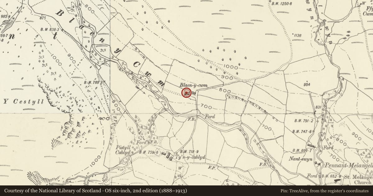 Ordnance Survey six-inch map, 2nd edition (1888–1913) covering the location of Cruck range attached to Blaen-y-cwm farmhouse, Llangynog, Powys, with a pin at the register's coordinates
