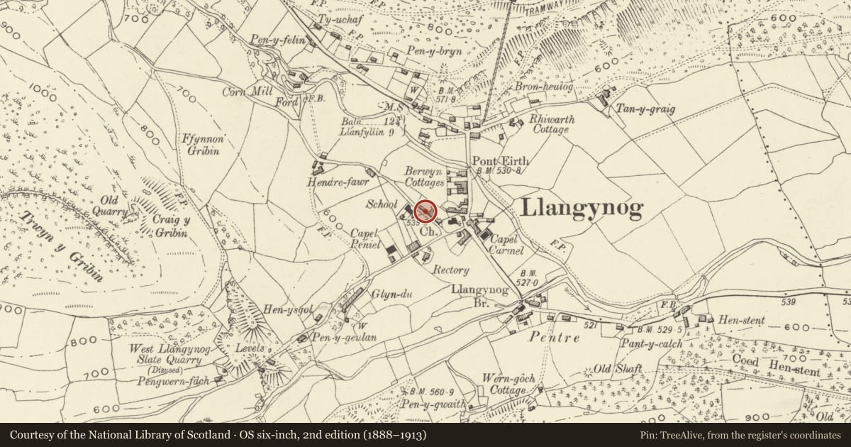 Ordnance Survey six-inch map, 2nd edition (1888–1913) covering the location of Gwalia, Llangynog, Powys, with a pin at the register's coordinates