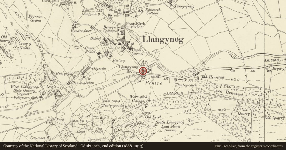 Ordnance Survey six-inch map, 2nd edition (1888–1913) covering the location of Llangynog Bridge, Powys, with a pin at the register's coordinates