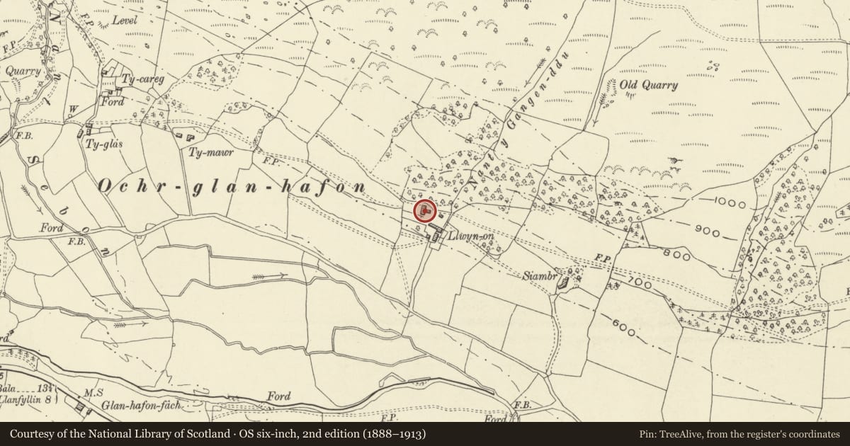 Ordnance Survey six-inch map, 2nd edition (1888–1913) covering the location of Llwyn-onn, Tanat Valley, Llangynog, Powys, with a pin at the register's coordinates