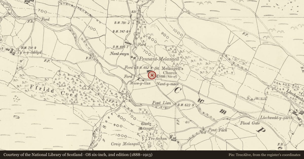Ordnance Survey six-inch map, 2nd edition (1888–1913) covering the location of Lychgate of St Melangell's Church, Llangynog, Powys, with a pin at the register's coordinates
