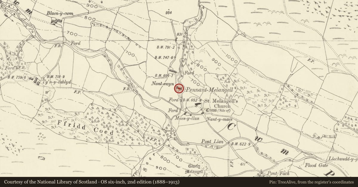 Ordnance Survey six-inch map, 2nd edition (1888–1913) covering the location of Old Nant-ewyn cottage with pigsties and privy, Llangynog, Powys, with a pin at the register's coordinates