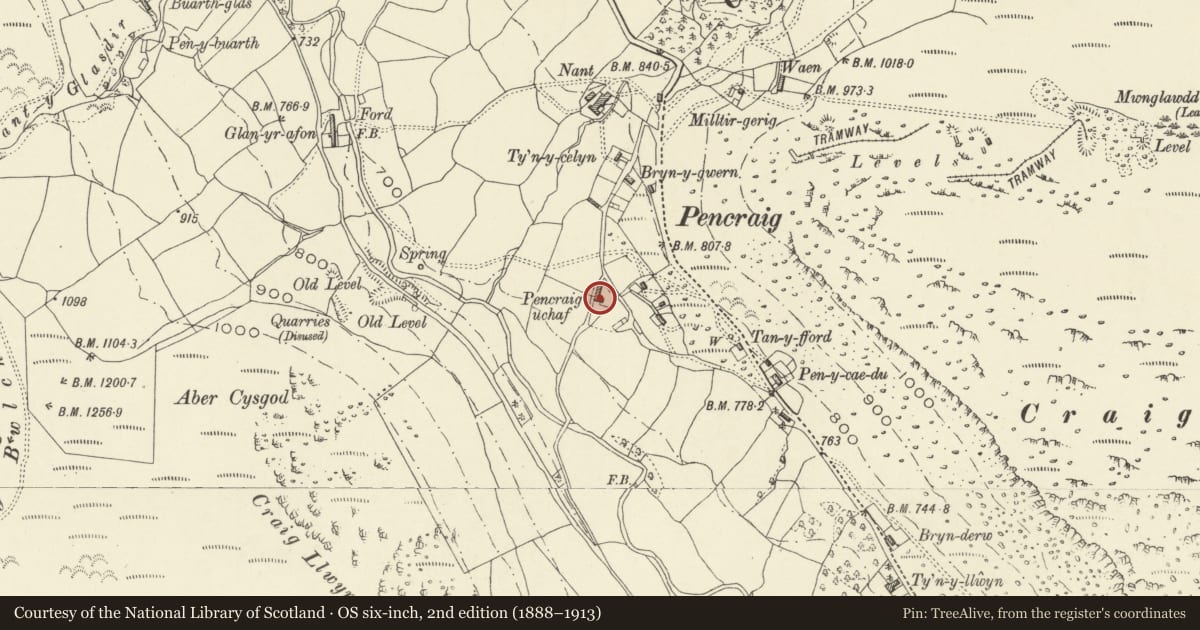 Ordnance Survey six-inch map, 2nd edition (1888–1913) covering the location of Pencraig, Llangynog, Powys, with a pin at the register's coordinates