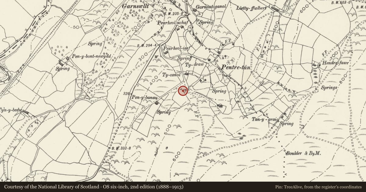 Ordnance Survey six-inch map, 2nd edition (1888–1913) covering the location of Circular pigsty at Craig Fawr Farm, Mawr, Swansea, with a pin at the register's coordinates