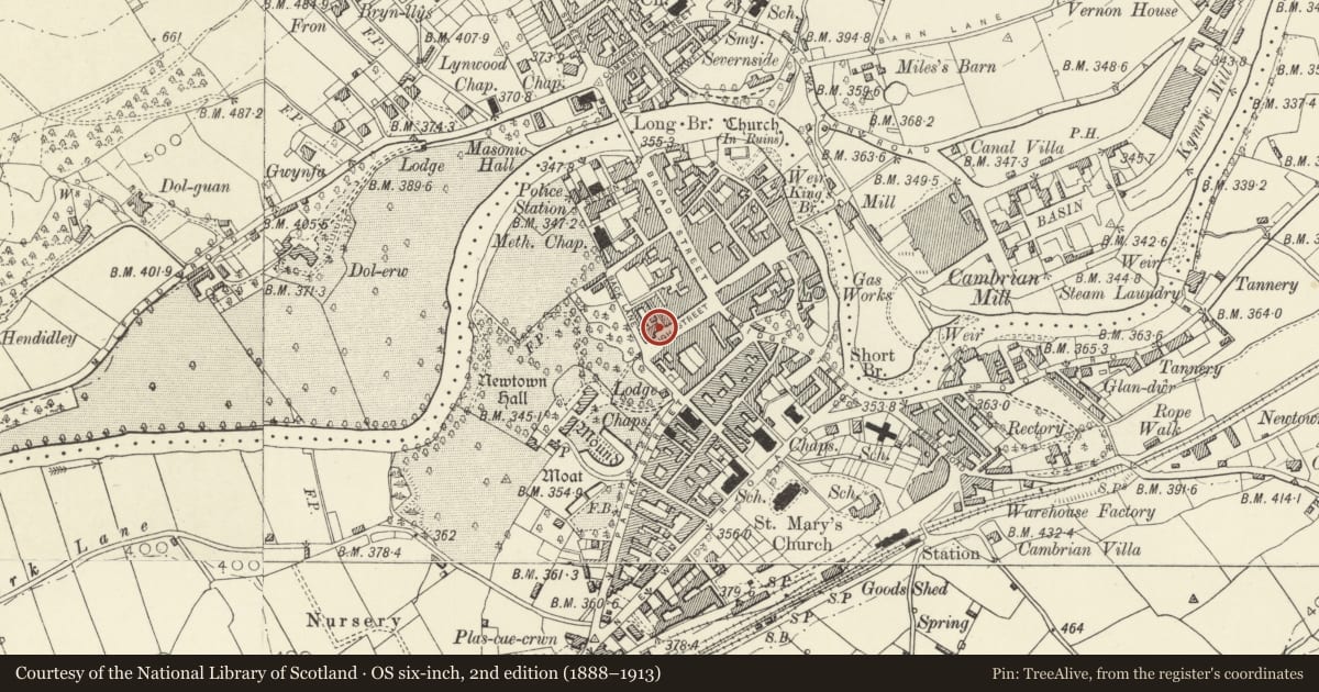 Ordnance Survey six-inch map, 2nd edition (1888–1913) covering the location of The Buck Public House, Newtown and Llanllwchaiarn, Powys, with a pin at the register's coordinates