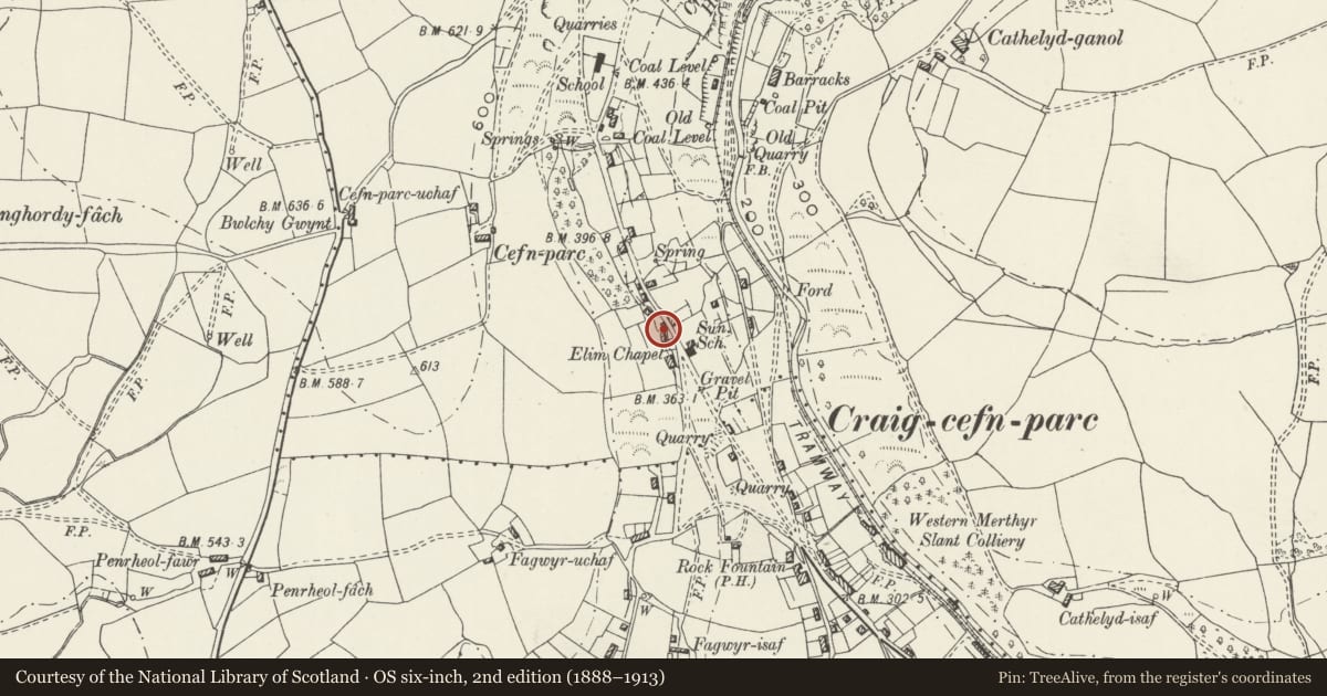 Ordnance Survey six-inch map, 2nd edition (1888–1913) covering the location of Cottage attached to Bryn Elim, Mawr, Swansea, with a pin at the register's coordinates