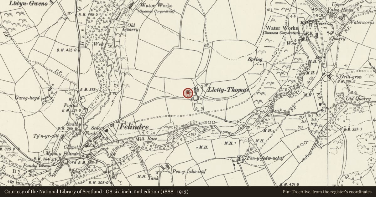 Ordnance Survey six-inch map, 2nd edition (1888–1913) covering the location of Llety Thomas, Mawr, Swansea, with a pin at the register's coordinates