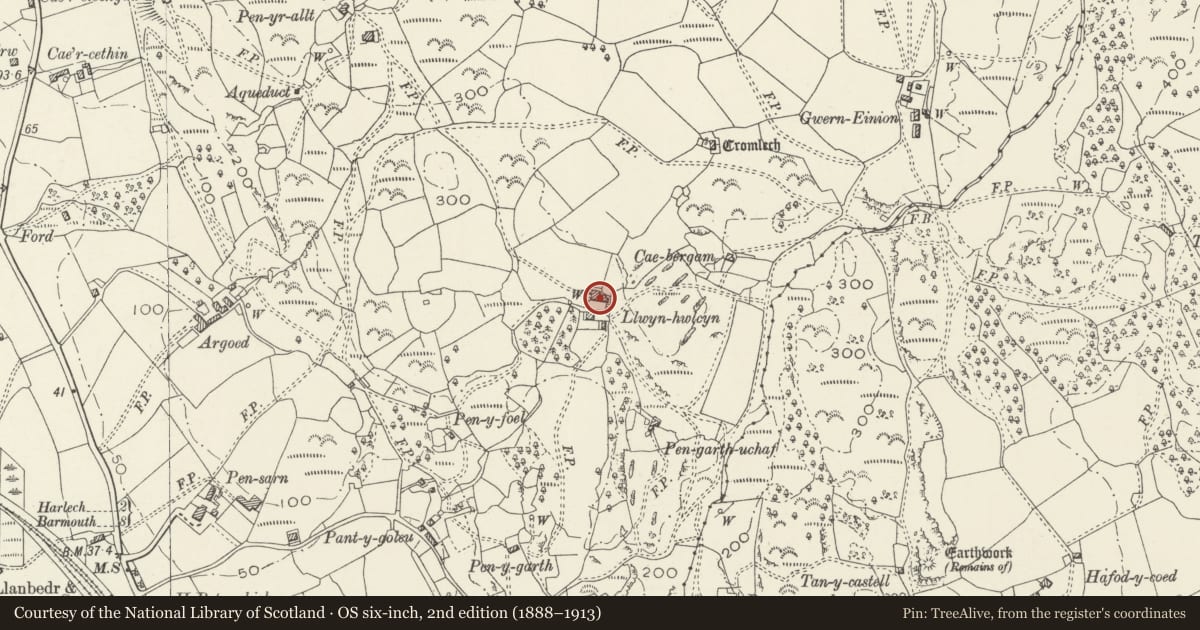 Ordnance Survey six-inch map, 2nd edition (1888–1913) covering the location of Agricultural range at Llwyn Hwlcyn, Llanfair, Gwynedd, with a pin at the register's coordinates