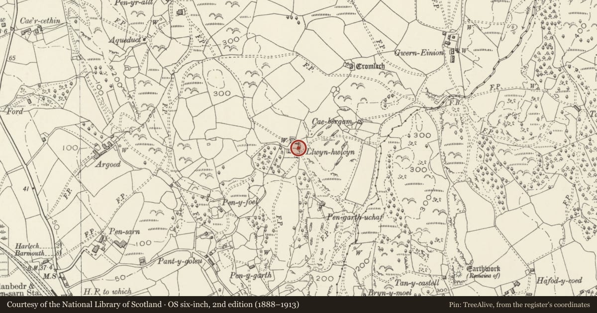 Ordnance Survey six-inch map, 2nd edition (1888–1913) covering the location of Cartshed at Llwyn Hwlcyn, Llanfair, Gwynedd, with a pin at the register's coordinates