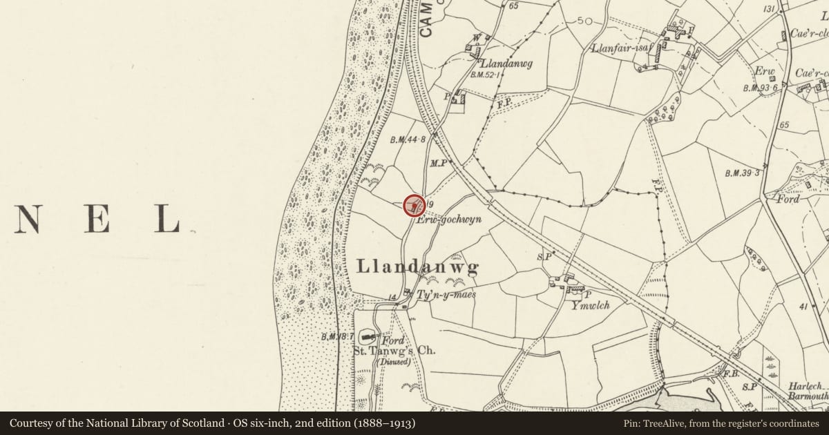 Ordnance Survey six-inch map, 2nd edition (1888–1913) covering the location of Erwgochwen, Llanfair, Gwynedd, with a pin at the register's coordinates