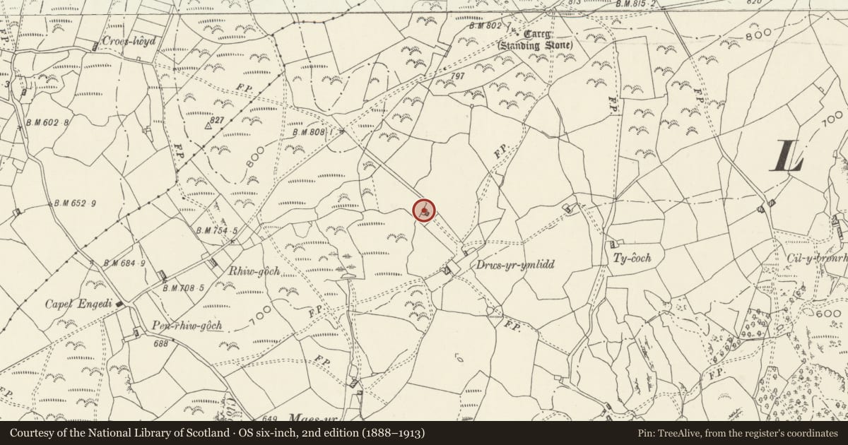Ordnance Survey six-inch map, 2nd edition (1888–1913) covering the location of Field Barn at Drws yr Ymlid, Llanfair, Gwynedd, with a pin at the register's coordinates